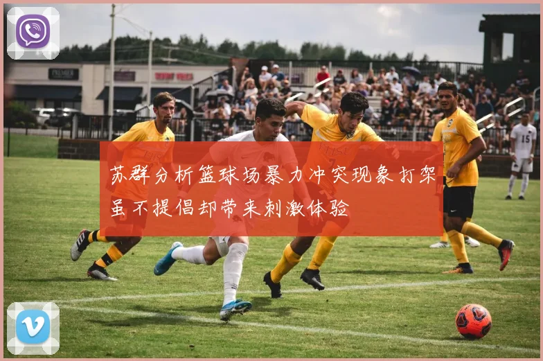 苏群分析篮球场暴力冲突现象打架虽不提倡却带来刺激体验