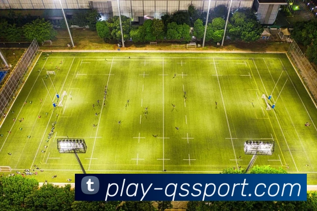 球速体育平台生态图