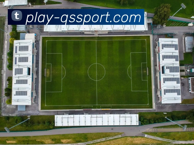 球速体育全站App